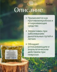 Чабреца трава - Фото 1