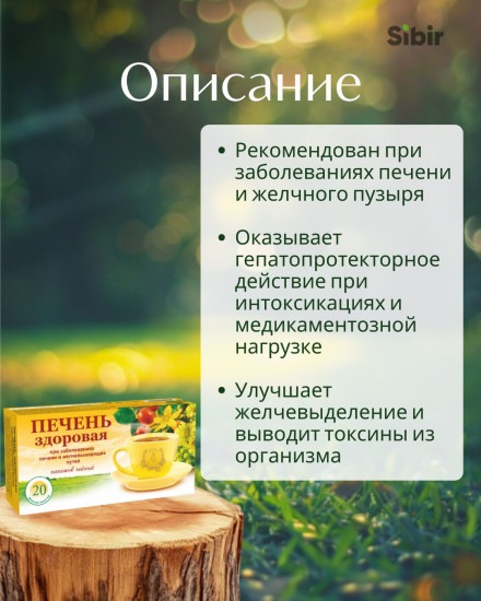 Напиток чайный «Печень здоровая» при заболеваниях печени и желчевыводящих путей
