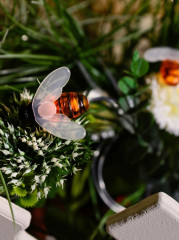 Гирлянда садовая «Пчелки» - Фото 7