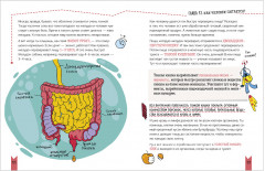 Этому в школе не научат! Реальная биология. Как устроено тело человека - Фото 3