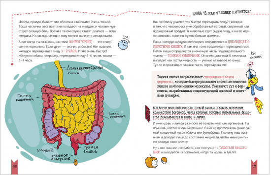 Этому в школе не научат! Реальная биология. Как устроено тело человека