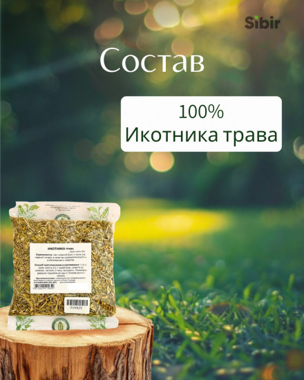 Икотника трава