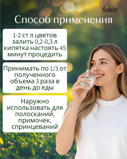 Календулы цветки