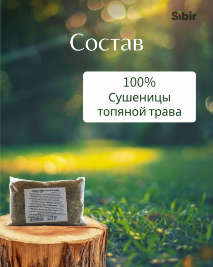 Сушеницы топяной трава