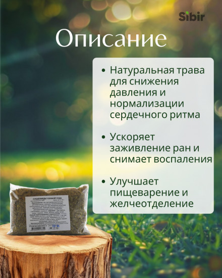 Сушеницы топяной трава