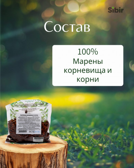 Марены корневища и корни