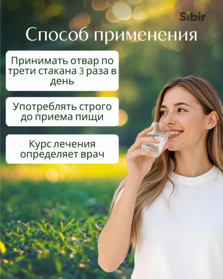 Марены корневища и корни