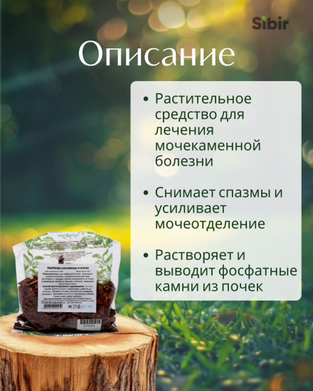 Марены корневища и корни