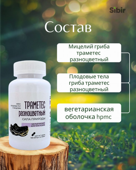 Капсулы «Траметес разноцветный»