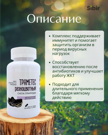 Капсулы «Траметес разноцветный»