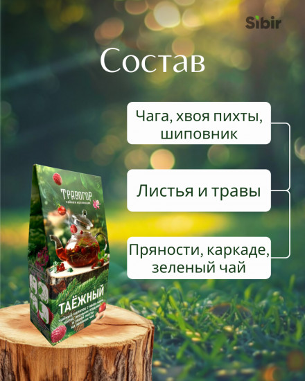 Чайный напиток с иван-чаем, чагой, лесными ягодами и хвоей пихты на зеленом чае «Таежный»