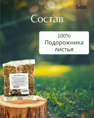 Подорожника листья - Фото 3