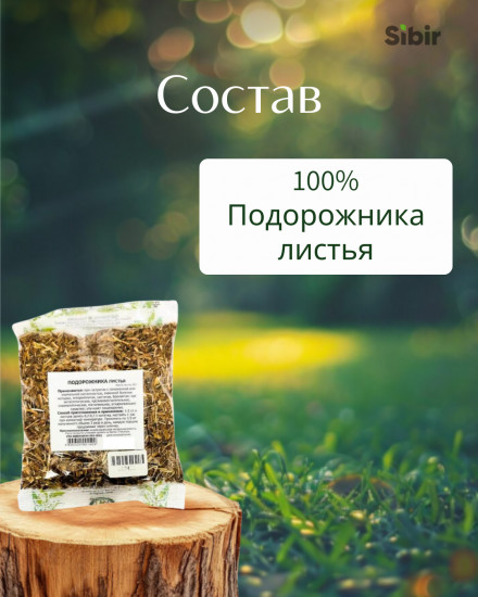 Подорожника листья