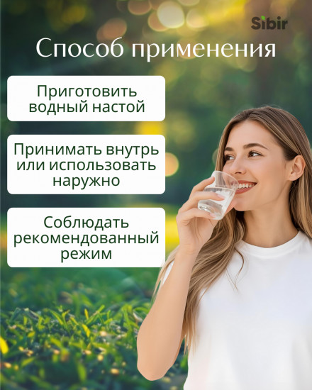 Подорожника листья