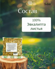 Эвкалипта листья - Фото 3