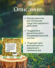 Эвкалипта листья - Фото 1