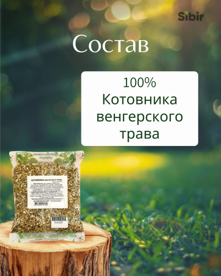 Котовника венгерского трава