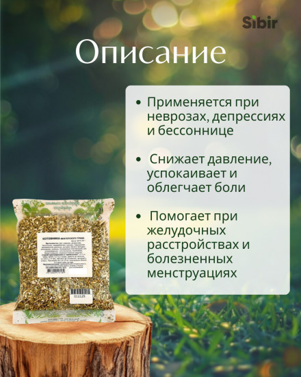 Котовника венгерского трава