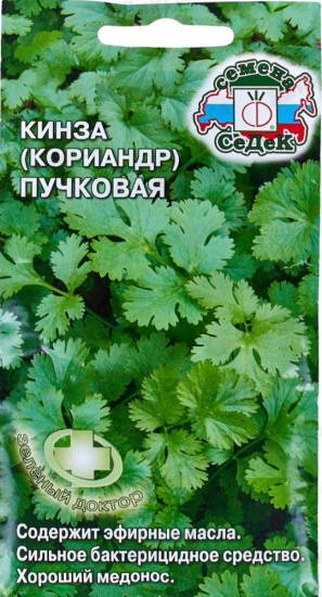 Семена кинзы (кориандра) пучковой