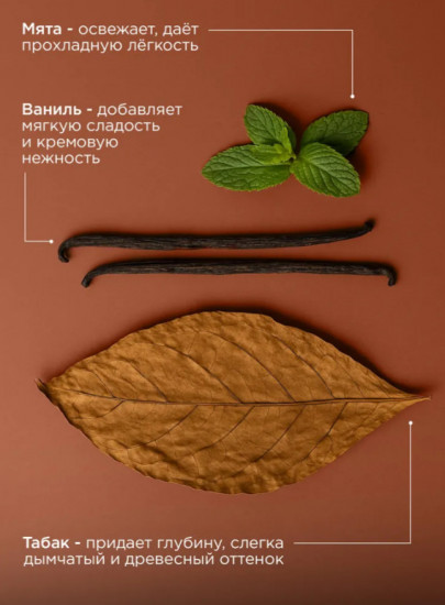 Парфюмированное жидкое мыло «Tobacco & Vanilla & Mint»