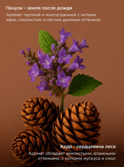 Парфюмированное жидкое крем-мыло «Cedar & Patchouli»