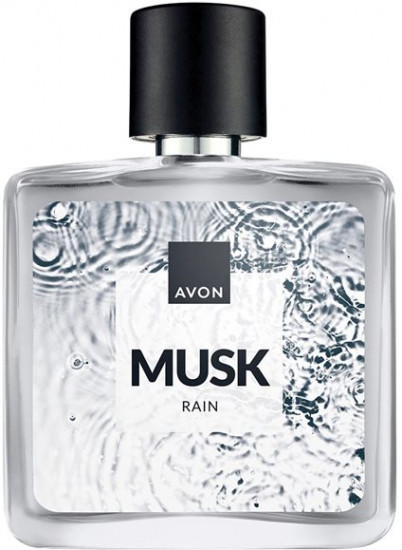 Туалетная вода мужская «Musk Rain»