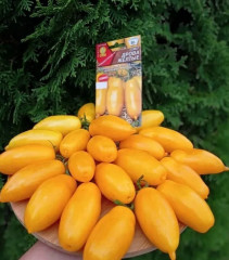 Семена томата «Дрова жёлтые» - Фото 2