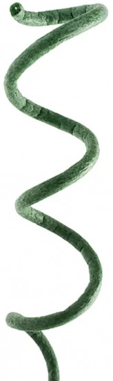 Подвязка для растений