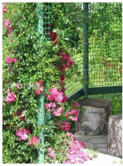 Сетка для палисадника - Фото 3