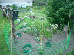 Сетка для палисадника - Фото 6