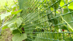 Сетка для палисадника - Фото 8