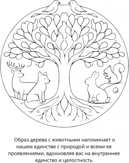 Раскраска «Мандалы. Единение с силами природы»