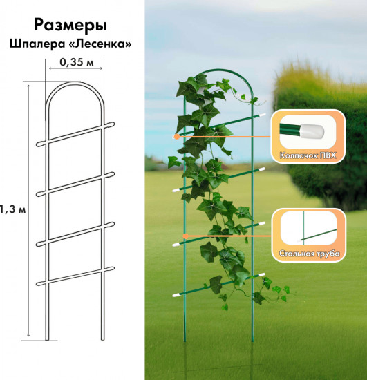 Шпалера «Лесенка»