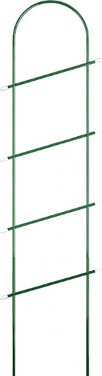 Шпалера «Лесенка»