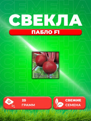 Семена свеклы столовой «Пабло F1» - Фото 3