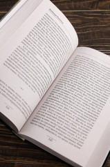 Погранец - Фото 8