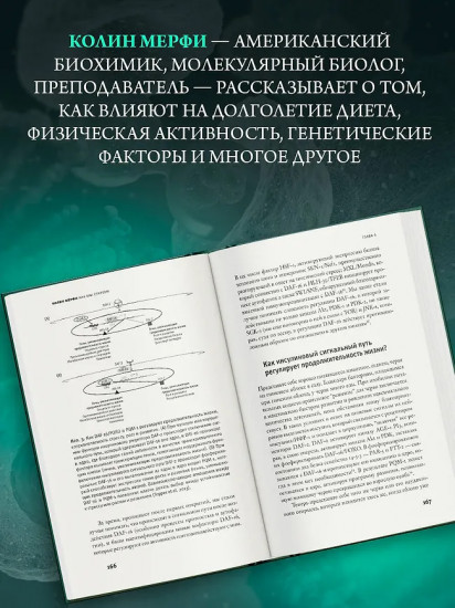 Как мы стареем