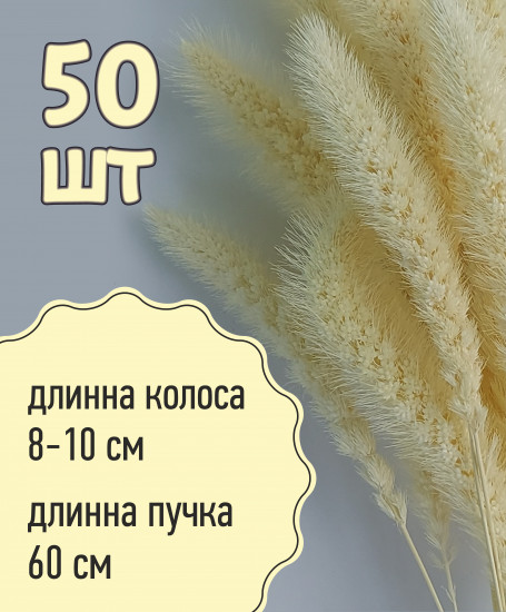 Набор сухоцветов «Лисохвост»