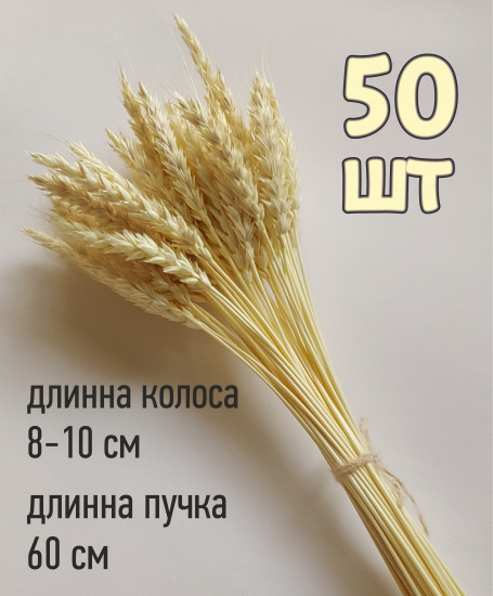 Набор сухоцветов «Пшеница»