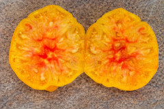 Колекционные семена томата «Канди страйп» - Фото 1