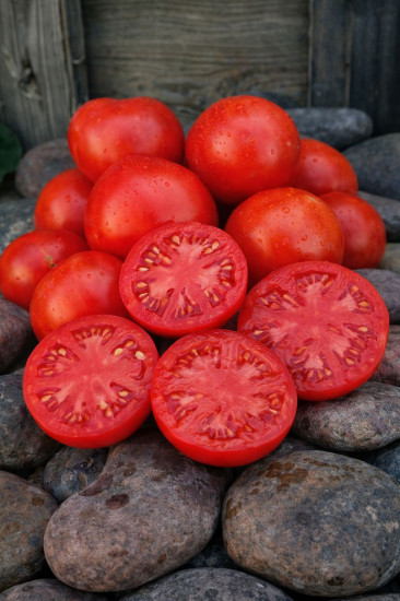 Колекционные семена томата «Pum Rim»