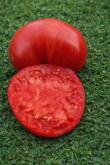 Колекционные семена томата «Pum Rim» - Фото 2