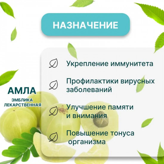 Аюрведическая пищевая добавка «Amalaki»
