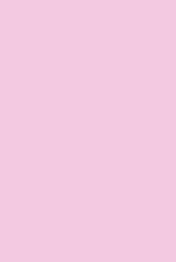 100 мягких шагов к себе. Дневник, который приведёт тебя к жизни твоей мечты - Фото 1