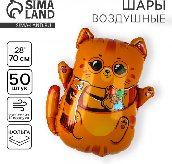Набор шаров воздушных «Котик-волшебник»