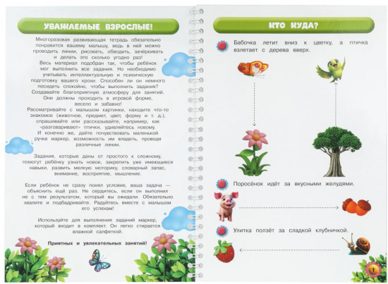 Тетрадь многоразовая развивающая