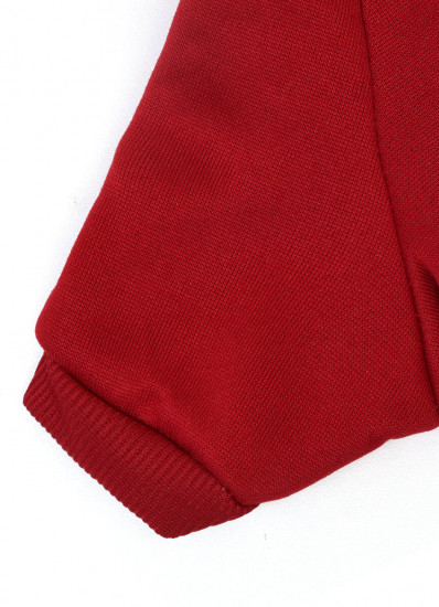 Худи c капюшоном для собаки