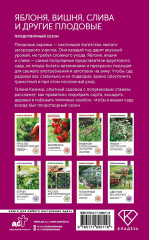 Яблоня, вишня, слива и другие плодовые. Плодотворный сезон - Фото 1