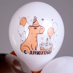 Набор шаров воздушных «С днем рождения! Капибара» - Фото 3