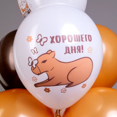 Набор шаров воздушных «С днем рождения! Капибара» - Фото 4